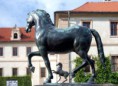 /album/sochy-konu/a7-vald-54-jpg/